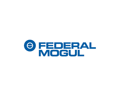 Imagen con el logo del proveedor Federal Mogul